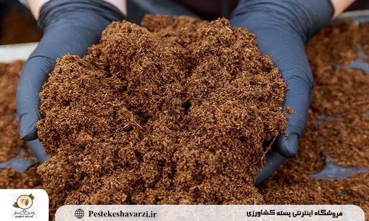 بهترین کود برای افزایش باردهی پسته