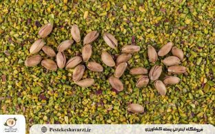 راز طعم پسته تازه؛ نقش نور خورشید و آب در کیفیت و مزه پسته ایرانی