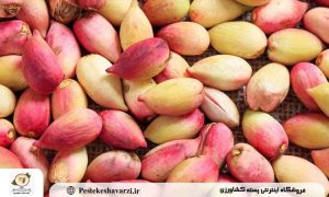 پسته تازه