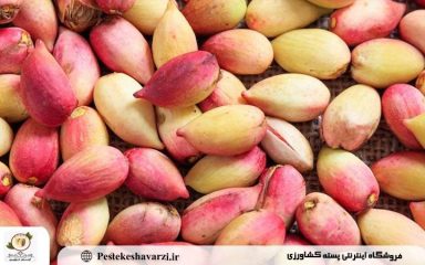 پسته تازه
