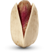 پسته فندوقی